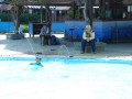 Tn DSC 0533